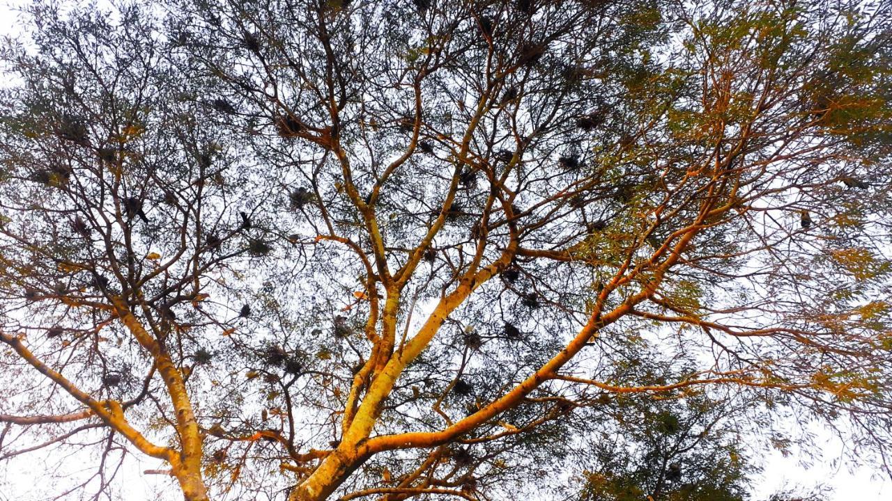Appartamento Sobaya Anuradhapura Esterno foto